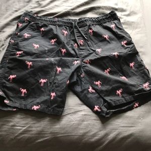 Flamingo Shorts